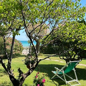 B&B I Versi Del Mare